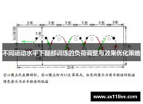 不同运动水平下腿部训练的负荷调整与效果优化策略