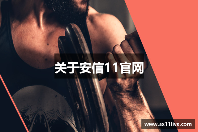 关于安信11官网